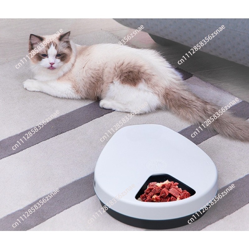 Wet Food Automatic Pet Feeder Refrigerated - ペット用冷蔵庫自動ウェットフードフィーダー、プラグイン式冷蔵保存、肉類用スマートキャットフードマシン