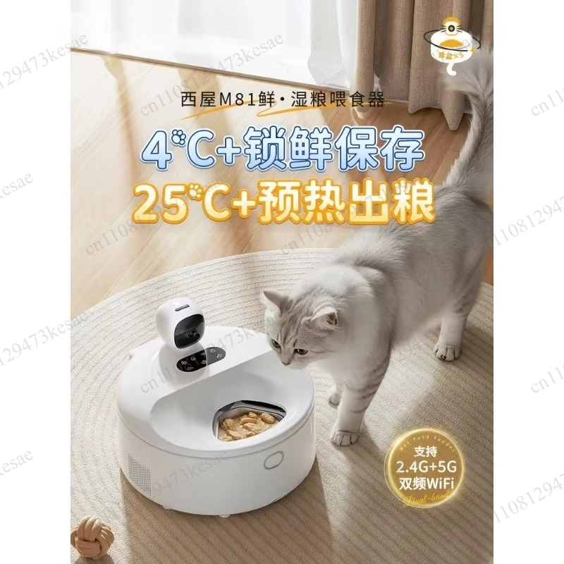Wet Food Automatic Pet Feeder Refrigerated - ステンレス製のボウルを備えた、冷却・加熱機能付きのスマート自動給餌器。冷蔵機能付きペットフードディスペンサー。