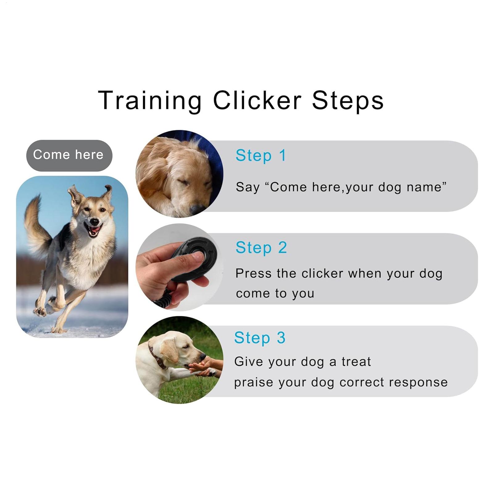 ペットトレーニングクリッカー ペットの行動矯正装置 リストス - Dog Clicker Training With Wrist Strap のレビューと価格