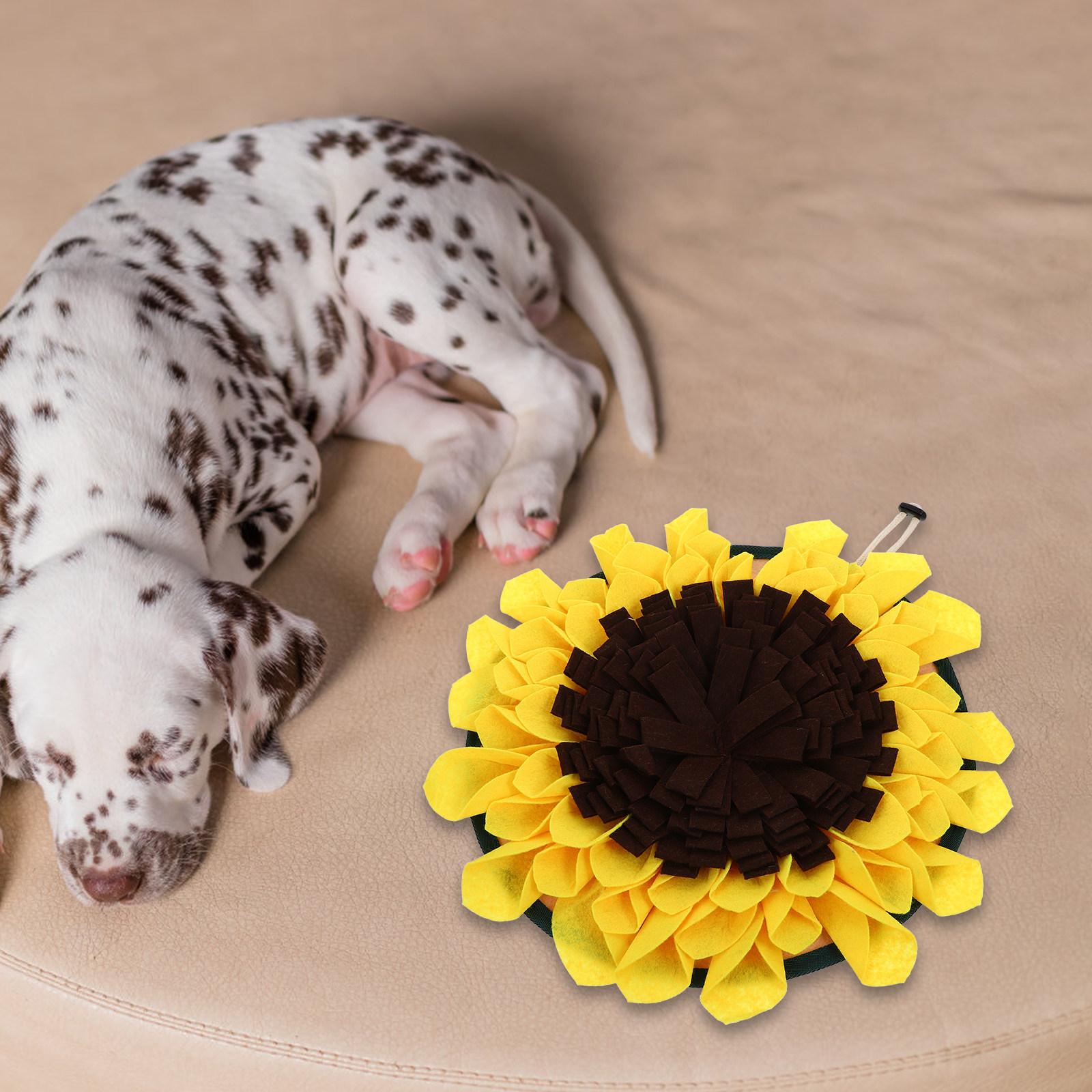 犬や猫のトレーニング、嗅覚訓練、知育、そして耐久性に優れた、 - Snuffle Mat For Dogs Foraging Mental のレビューと価格