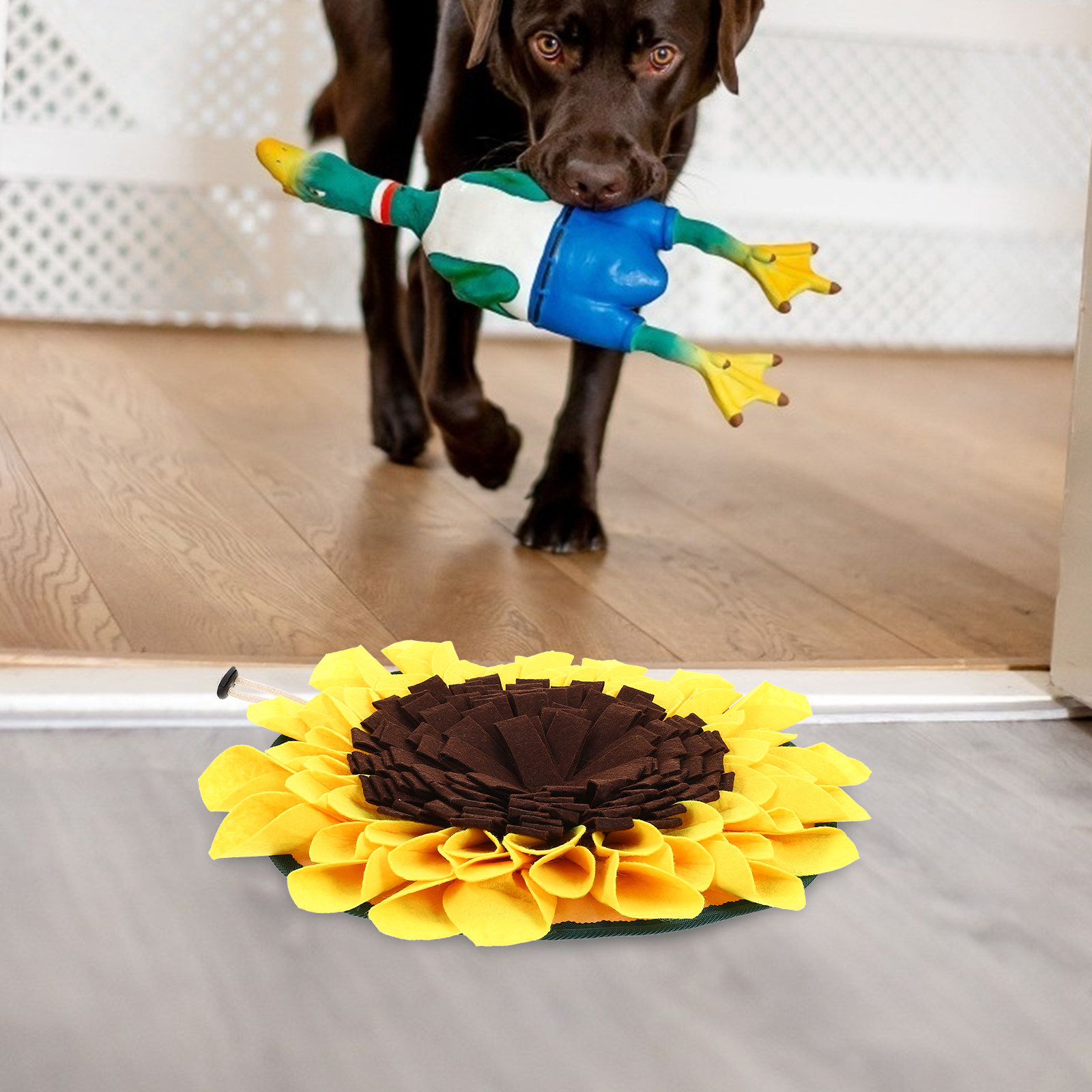 犬や猫のトレーニング、嗅覚訓練、知育、そして耐久性に優れた、 - Snuffle Mat For Dogs Foraging Mental のレビューと価格