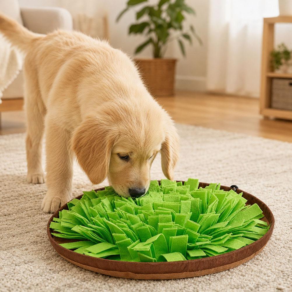 犬用スナッフルマット。インタラクティブな食事用パズルおもちゃ - Dog Slow Feeder Puzzle Toy Interactive のレビューと価格