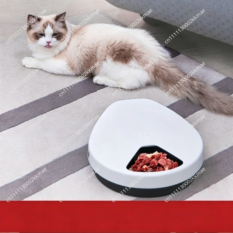 ペット用冷蔵庫、自動ウェットフードフィーダー、プラグイン式冷 - Wet Food Automatic Pet Feeder Refrigerated のレビューと価格