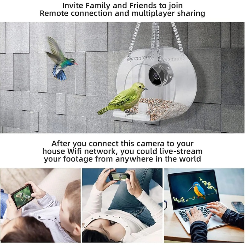 スマート1080Pミニバードフィーダー WIFI接続リアルタ - Smart Pet Feeder Camera 1080P Wifi のレビューと価格
