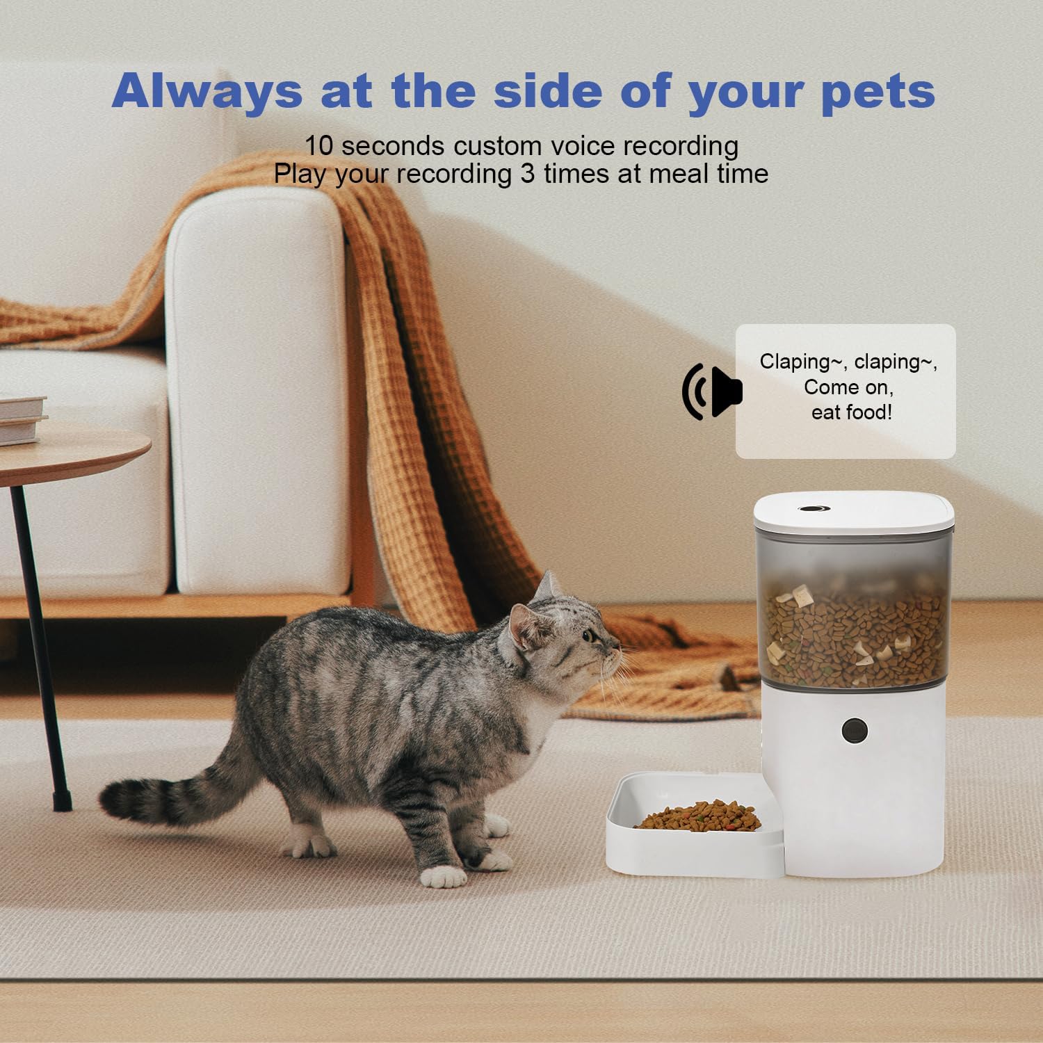ANDOLL HOME 自動給餌器、4L容量、タイマー機能付 - Timed Cat Dog Food Dispenser 4L のレビューと価格