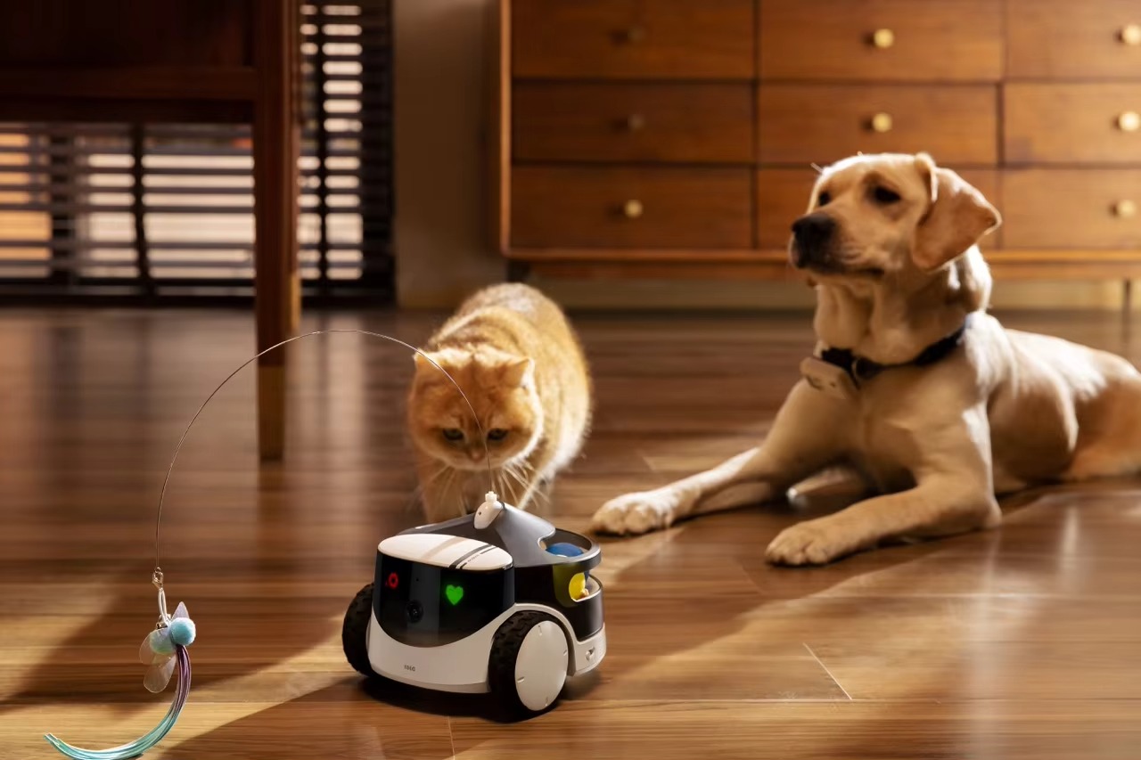 FurStarROLA ペットパル AIロボットコンパニオン - Pet Treat Dispenser Camera Interactive のレビューと価格