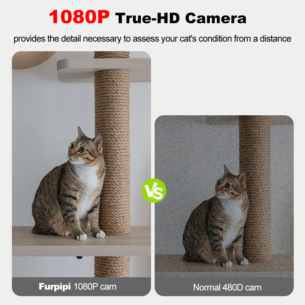270オンス自動猫フィーダー1080pカメラビデオ5G Wi - Smart Pet Feeder Camera 1080P Wifi のレビューと価格