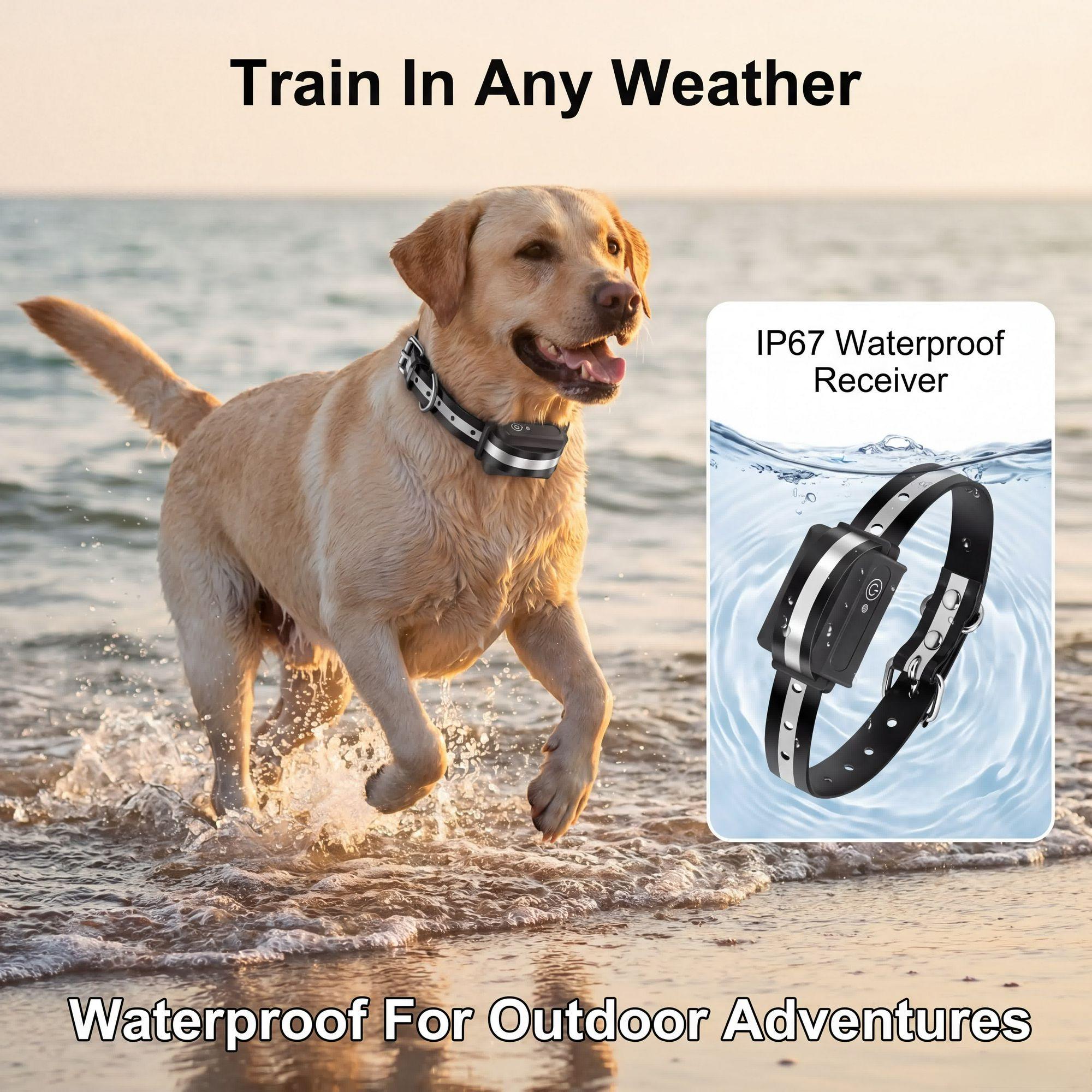 1000M犬用トレーニングカラーIPX7防水充電式電気ショッ - Dog Training Collar Remote 1000M Beep のレビューと価格