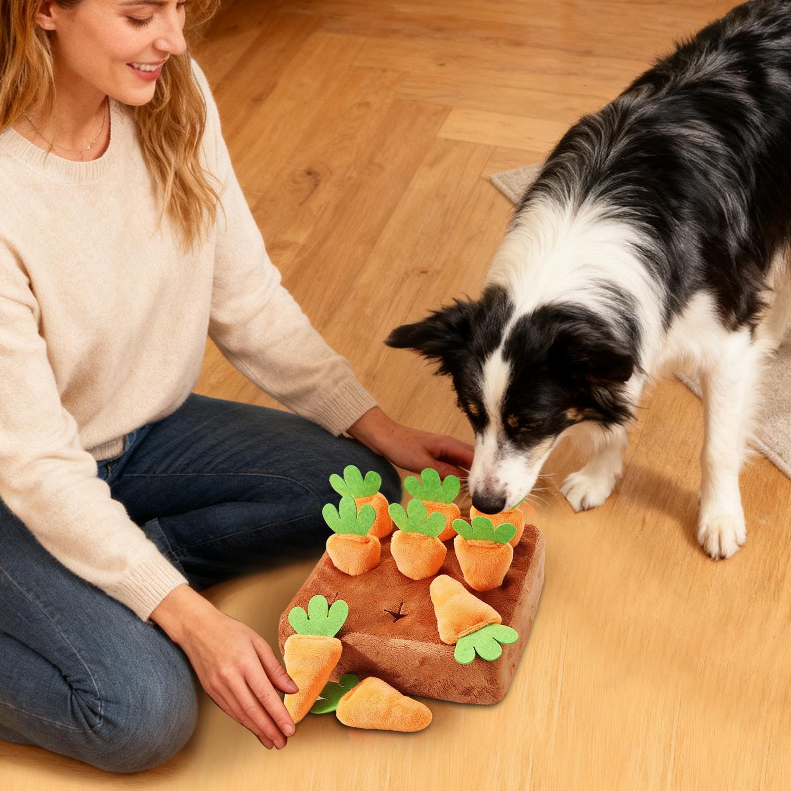 犬用スナッフルマット インタラクティブおもちゃ ニンジン付き - Snuffle Mat For Dogs Foraging Mental のレビューと価格