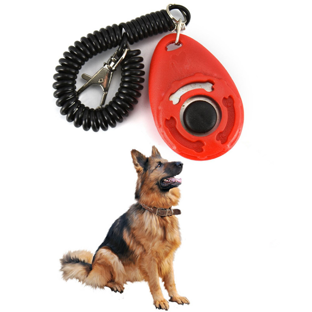 ペット用トレーニングクリック器4個入り。大きなボタンで操作し - Dog Clicker Training With Wrist Strap のレビューと価格