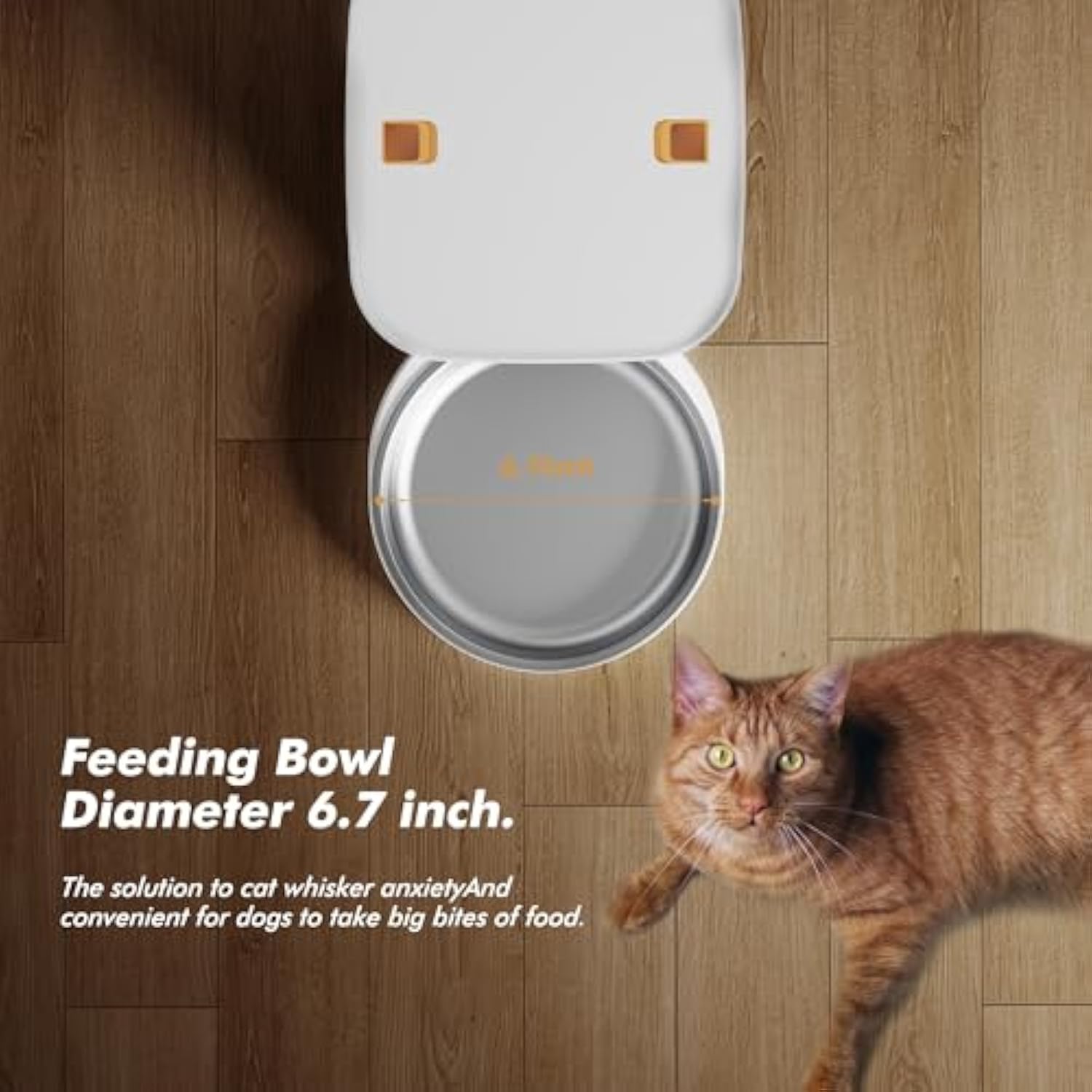 カメラとビデオを備えた自動猫フィーダー,5g,1080p,w - Smart Pet Feeder Camera 1080P Wifi のレビューと価格