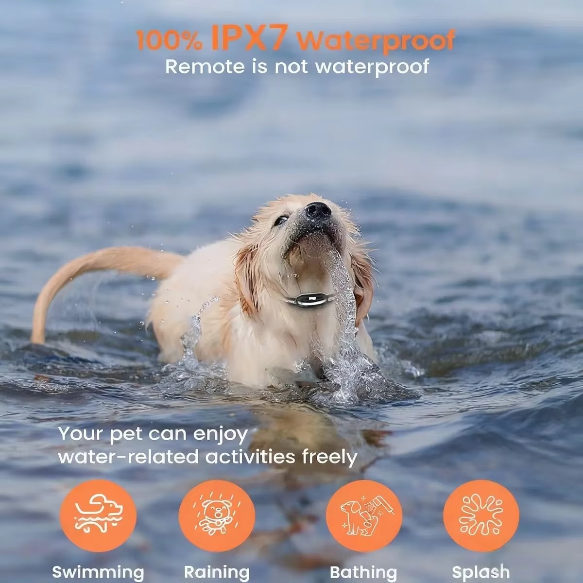 FurStarDog トレーニングショックカラー リモートト - Dog Training Collar Remote 1000M Beep のレビューと価格